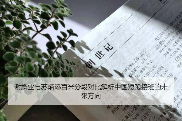 谢震业与苏炳添百米分段对比解析中国短跑接班的未来方向