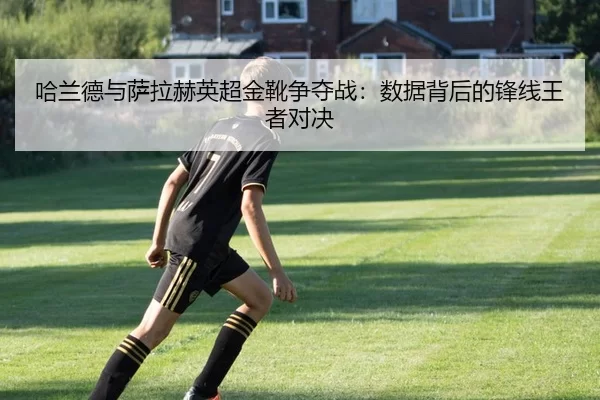 ha-lan-de-yu-sa-la-he-ying-chao-jin-xue-zheng-duo-zhan-shu-ju-bei-hou-de-feng-xian-wang-zhe-dui-jue-2-217.jpg