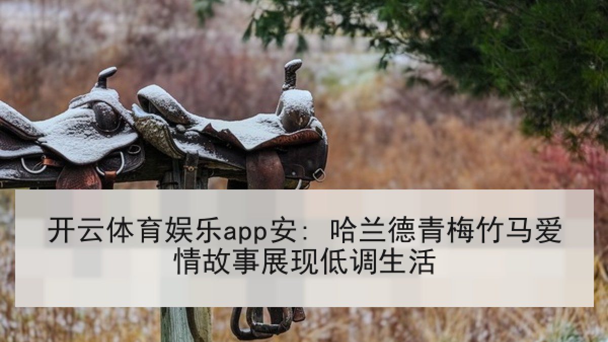 开云体育娱乐app安: 哈兰德青梅竹马爱情故事展现低调生活