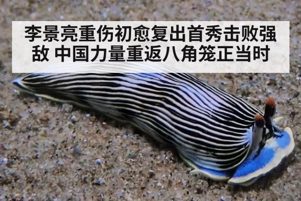 李景亮重伤初愈复出首秀击败强敌 中国力量重返八角笼正当时