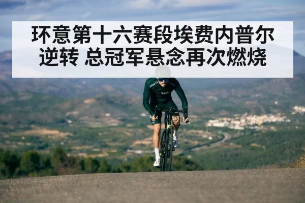 环意第十六赛段埃费内普尔逆转 总冠军悬念再次燃烧