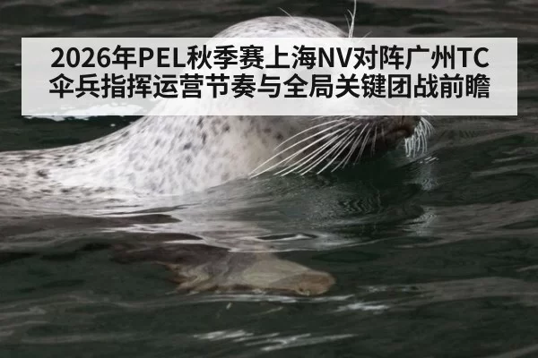 2026年PEL秋季赛上海NV对阵广州TC伞兵指挥运营节奏与全局关键团战前瞻